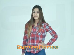 BurningFlamee