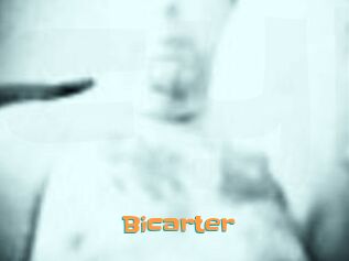 Bicarter