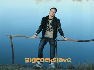 Bigcockslave