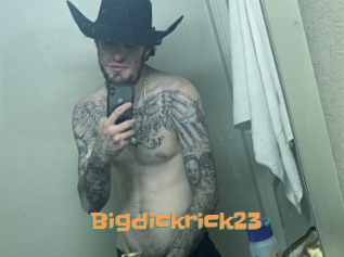 Bigdickrick23