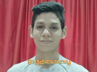 Bigdicksexy