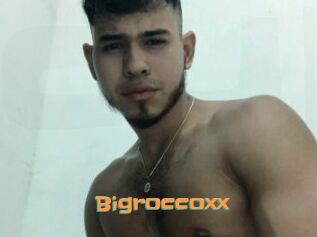 Bigroccoxx