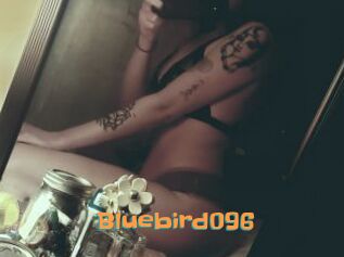 Bluebird096