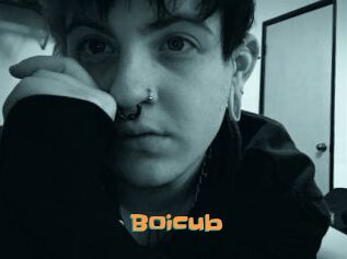 Boicub