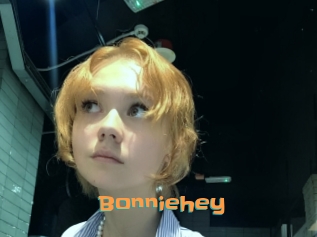 bonniehey Cyberhuren