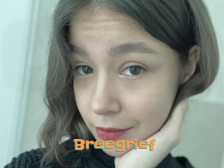 Breegrief