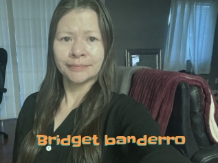 Bridget_banderro