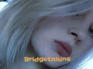 Bridgetalkins