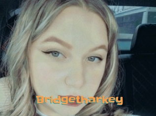 Bridgetharkey