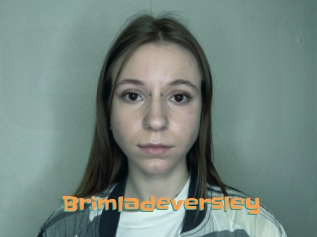 Brimladeversley