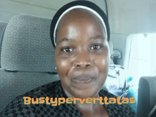 Bustyperverttatas