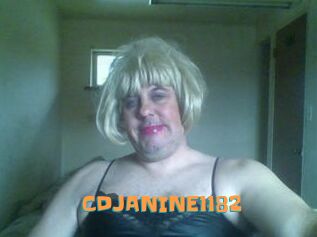 CDJANINE1182