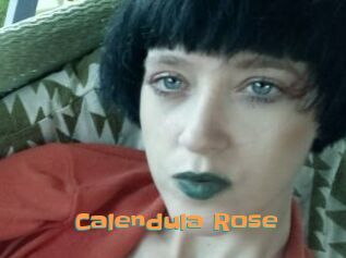 Calendula_Rose