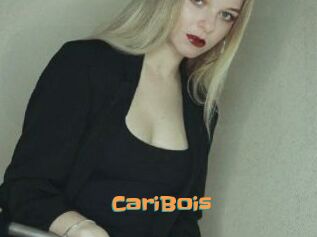 CariBois