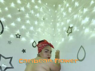 Caribean_Flower