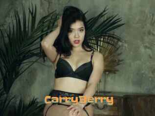 CarryBerry