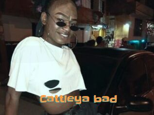 Cattleya_bad