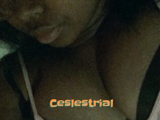 Ceslestrial