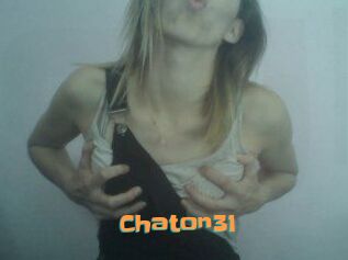 Chaton31