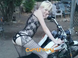 CuntFairy