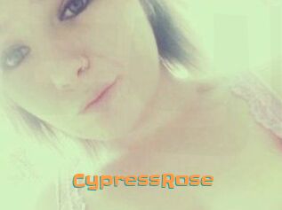 Cypress_Rose