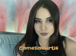 Cameliacurtis