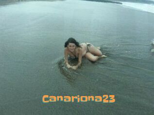 Canariona23