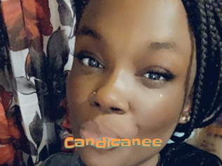 Candicanee