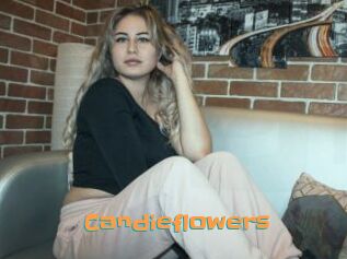 Candieflowers