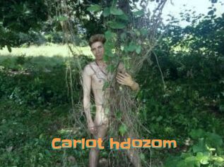 Carlot_hdozom