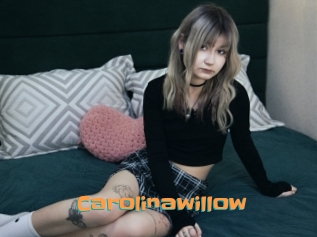 Carolinawillow