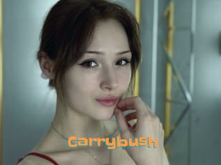 Carrybush