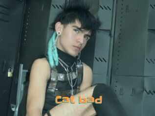 Cat_bad