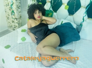 Cataleyaguerrero
