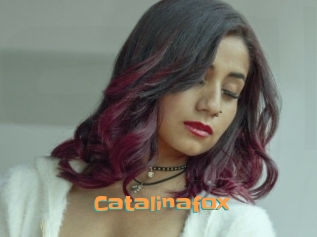 Catalinafox