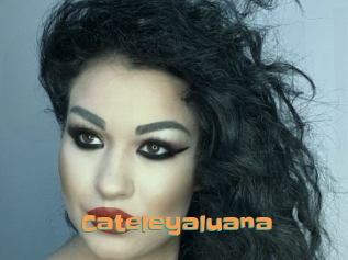 Cateleyaluana