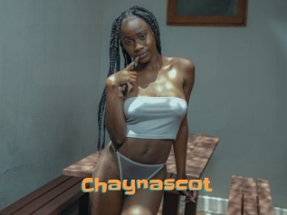 Chaynascot