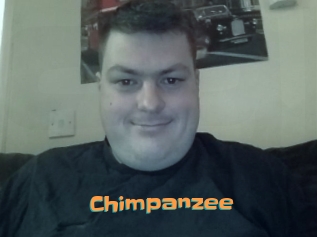 Chimpanzee