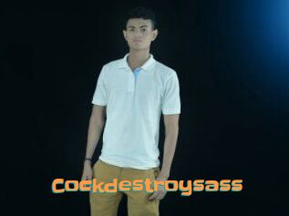 Cockdestroysass