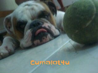Cumalot4u