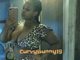 Curvybunny19