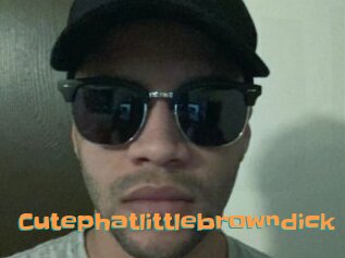 Cutephatlittlebrowndick