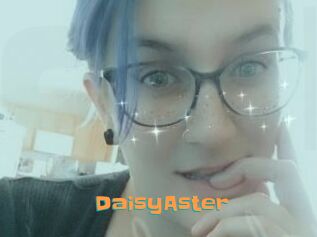 DaisyAster