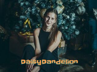 DaisyDandelion