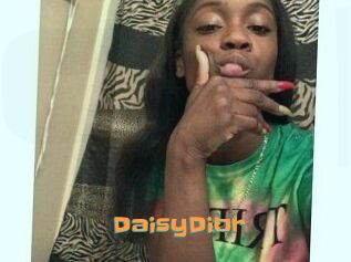 DaisyDior