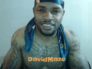 David_Maze