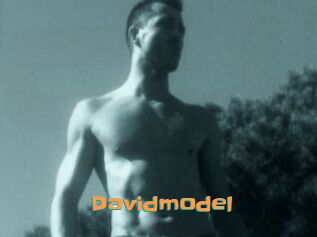 Davidmodel