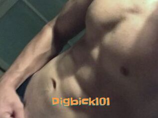 Digbick101