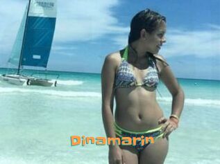 Dinamarin