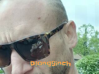 Dlong9inch